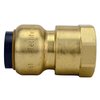 Tectite By Apollo 1/2 in. Brass Push-to-Connect x Female Pipe Thread Adapter FSBFA12